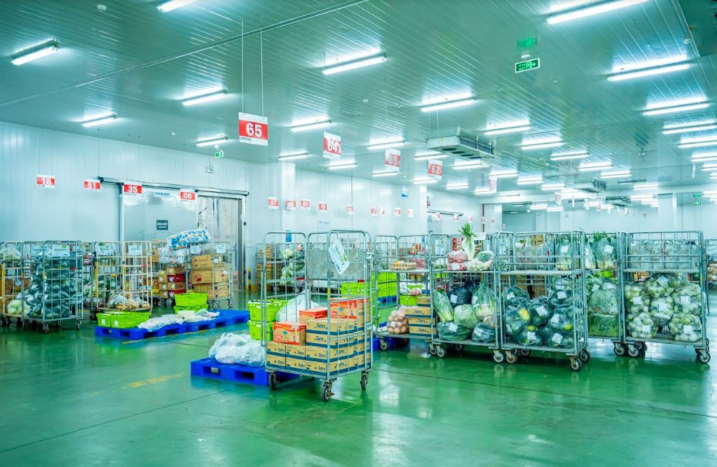 Chuỗi Cung Ứng Lạnh (Cold Chain Logistics) – Xu Hướng Chiến Lược Trong Vận Tải Hiện Đại